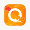 Дубликат приложения QIWI для iPhone